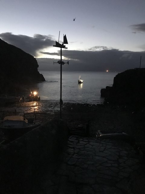 Cadgwith Cove